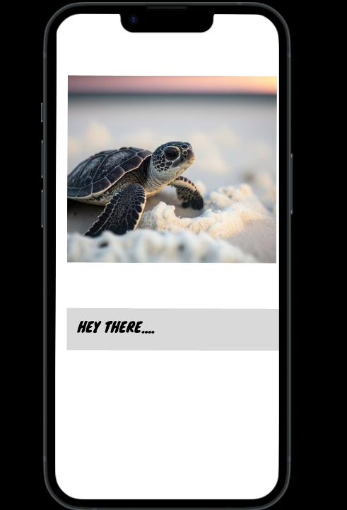 small_turtle